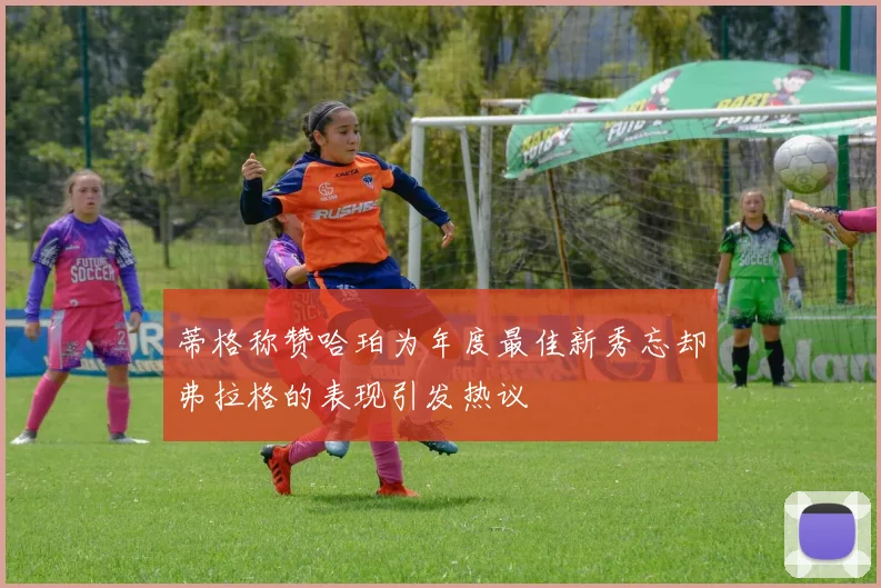 蒂格称赞哈珀为年度最佳新秀忘却弗拉格的表现引发热议